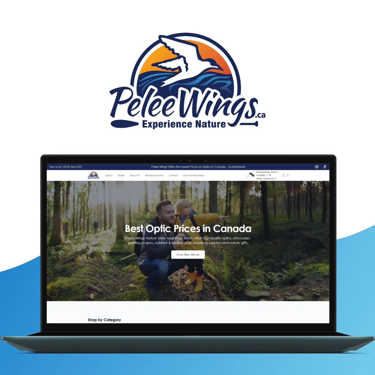 Pelee Wings