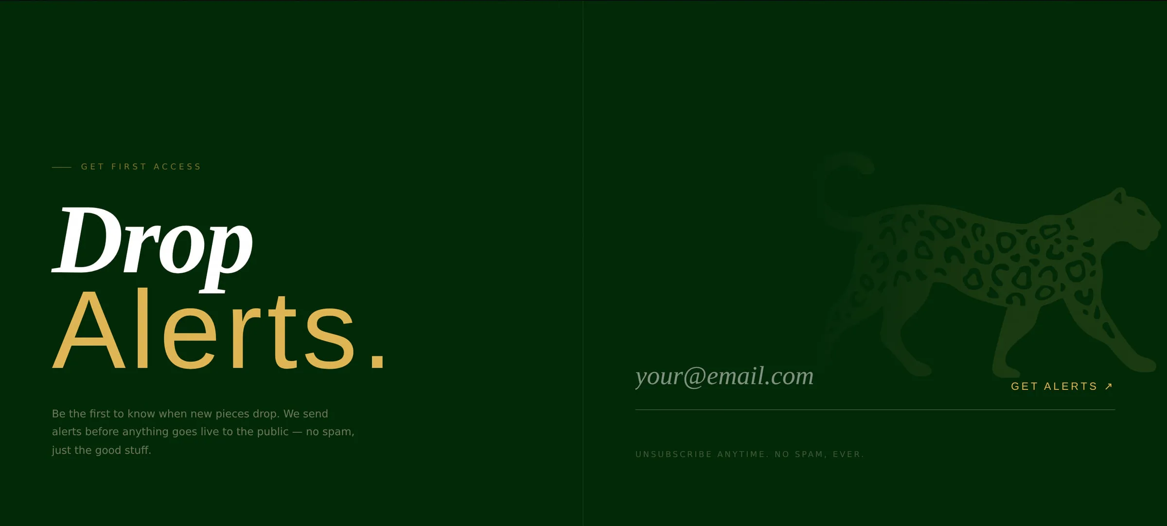 Drop Alerts email capture section — scarcity-driven signup for a vintage clothing brand